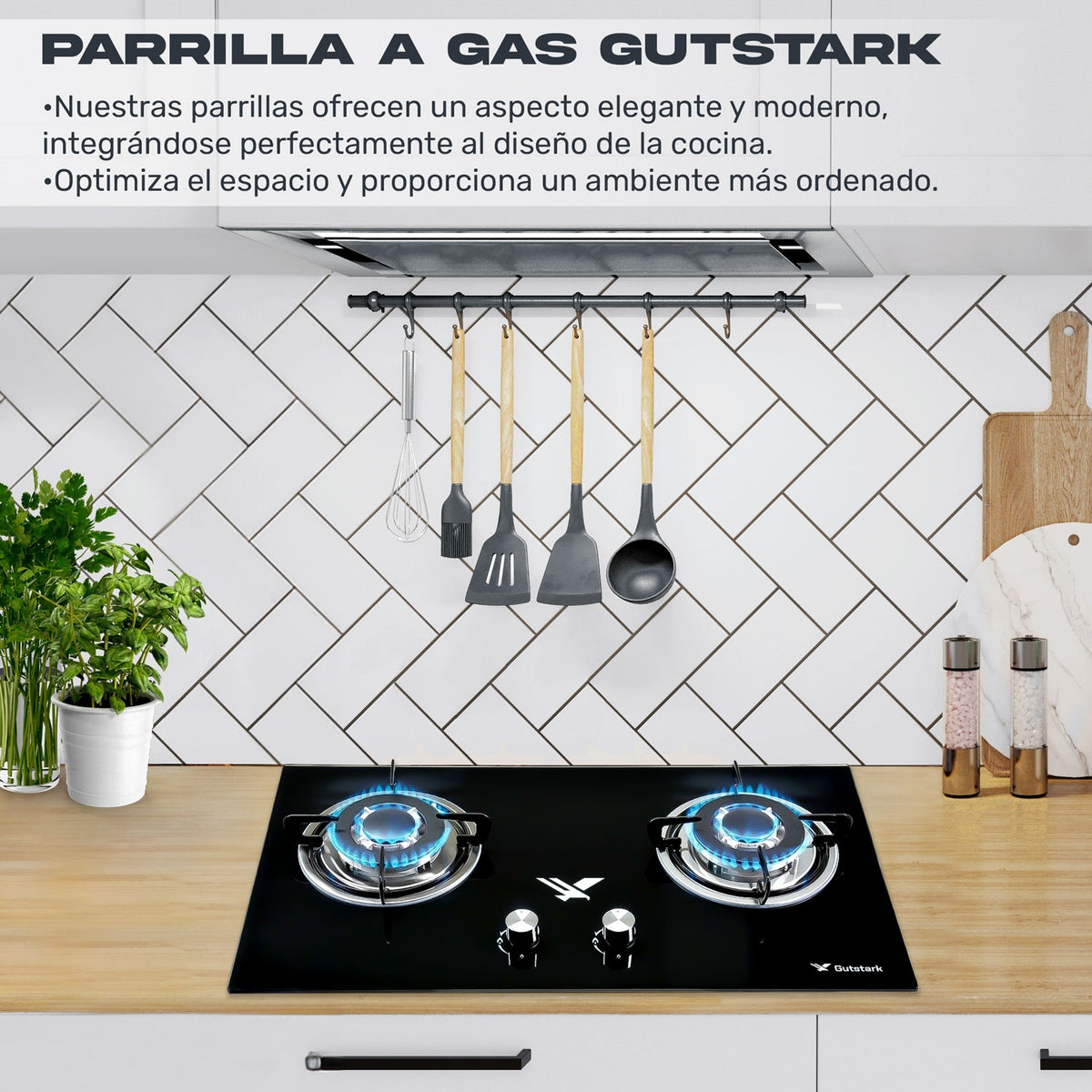 Parrilla A Gas Lp Y Natural 2 Quemadores 72 X 40 X 11 Cm