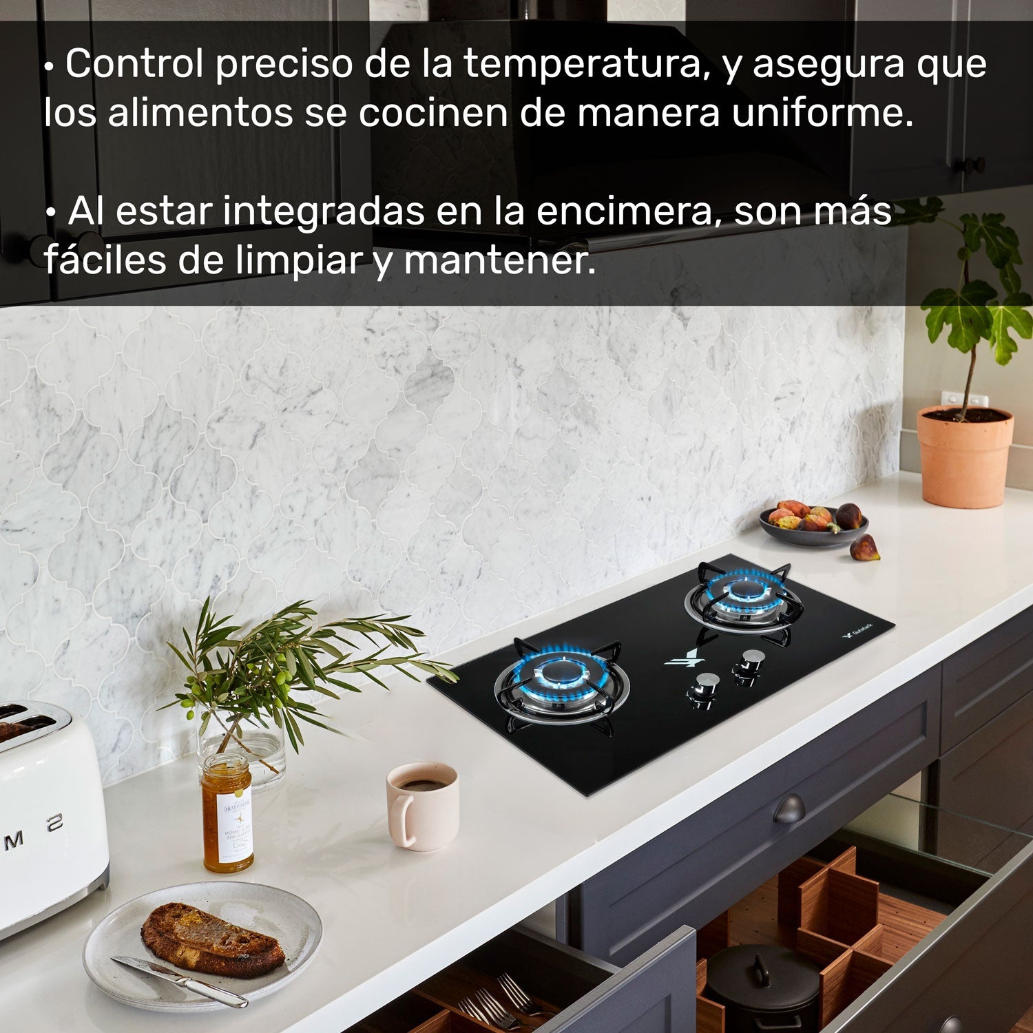 Parrilla A Gas Lp Y Natural 2 Quemadores 72 X 40 X 11 Cm