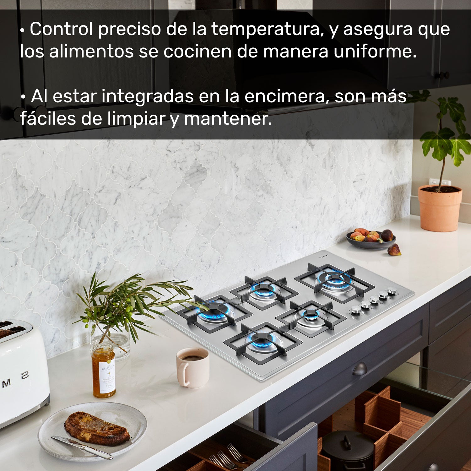 Parrilla A Gas 5 Quemadores Acero Inoxidable Empotrable