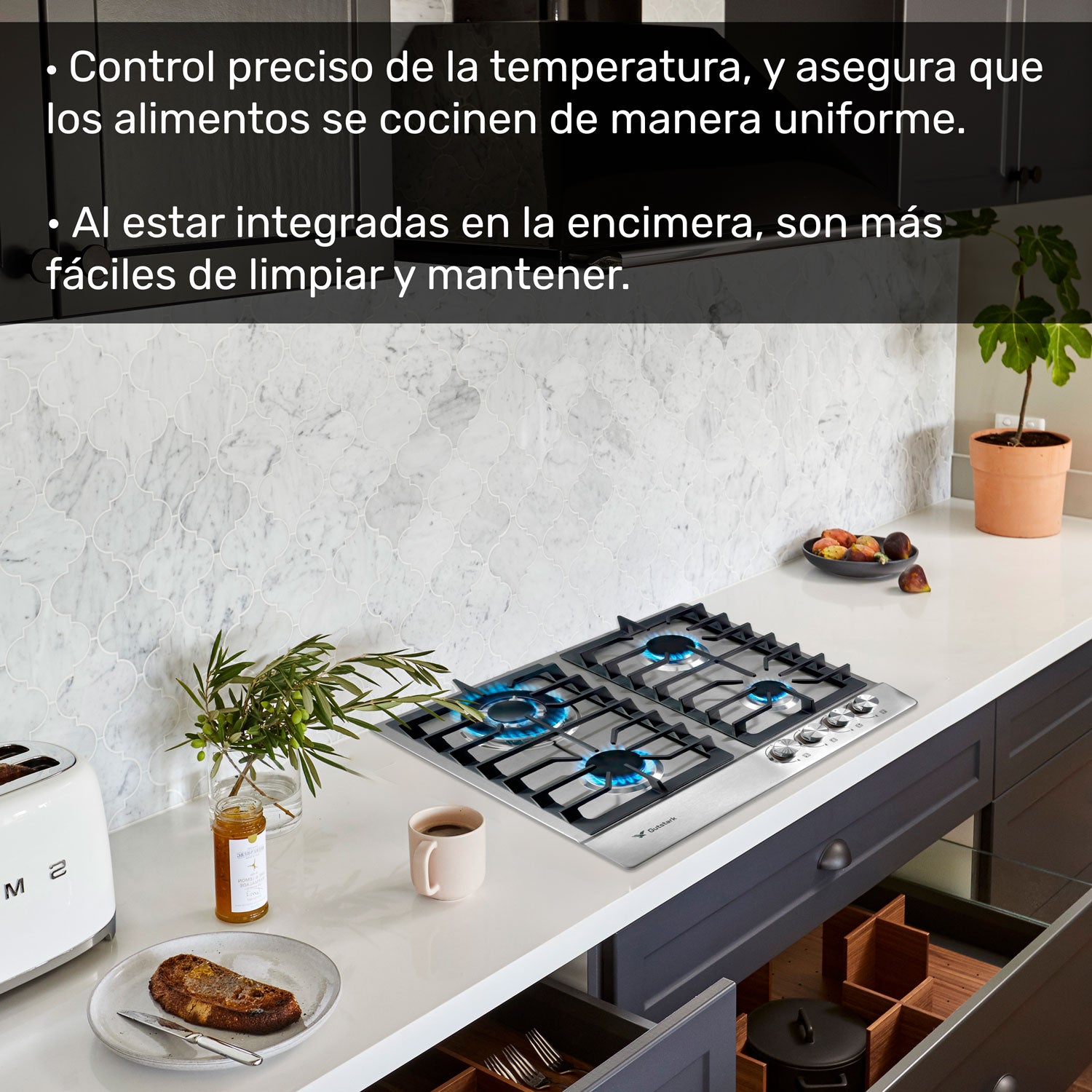 Parrilla A Gas Lp Y Natural 4 Quemadores 58.5 X 51 X 11 Cm