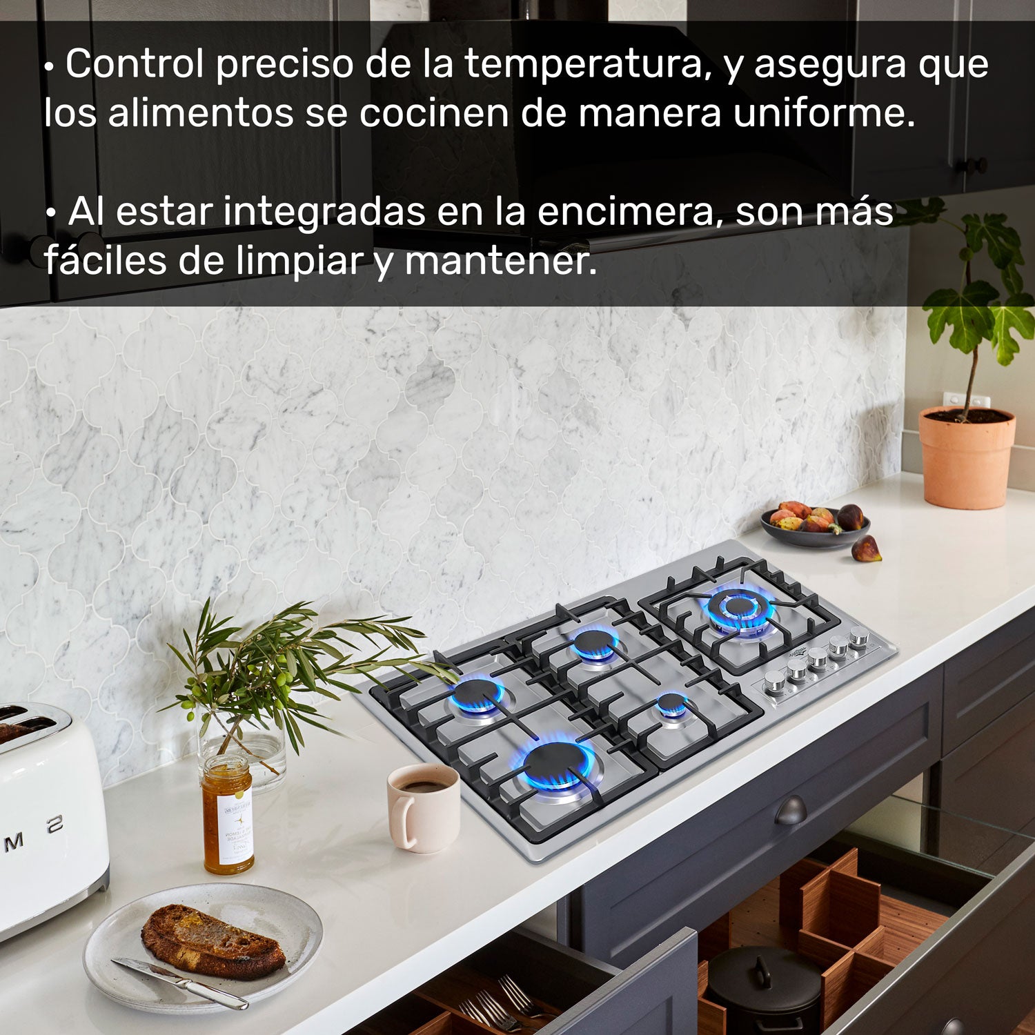 Parrilla de Gas Empotrable Acero Inoxidable 5 Quemadores Premium