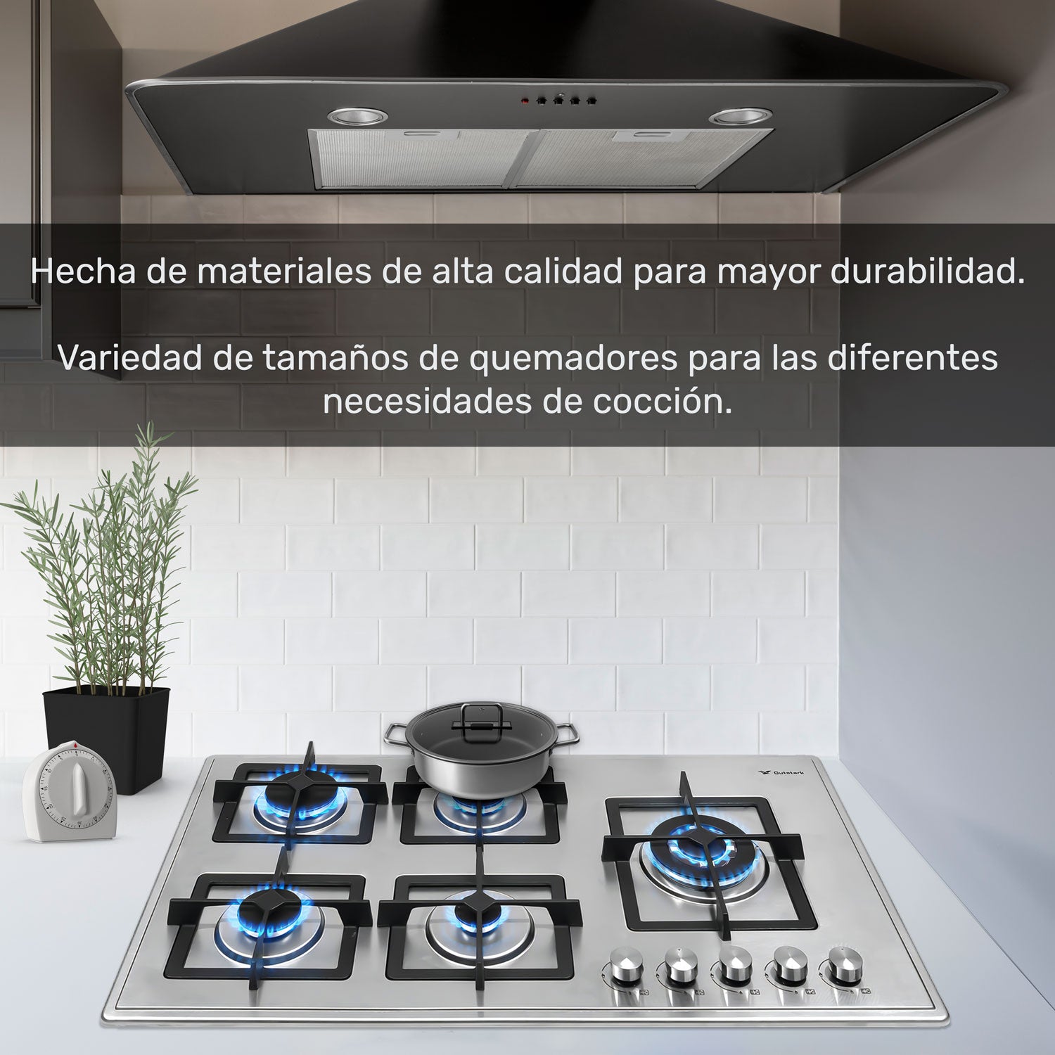 Parrilla A Gas 5 Quemadores Acero Inoxidable Empotrable