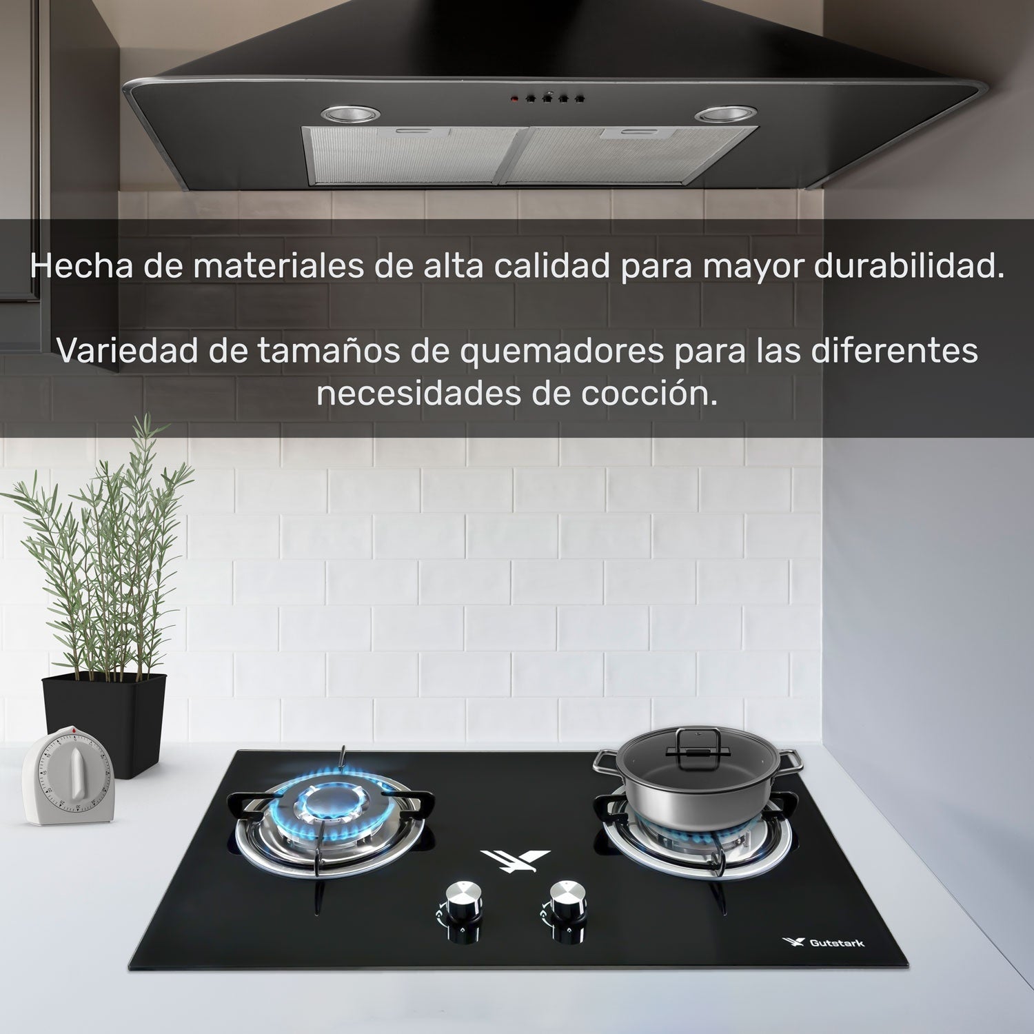 Parrilla A Gas Lp Y Natural 2 Quemadores 72 X 40 X 11 Cm