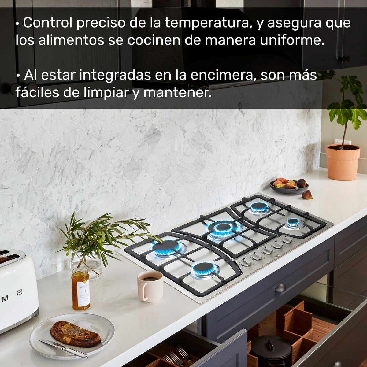 Parrilla de Gas Empotrable 5 Quemadores Acero Inoxidable