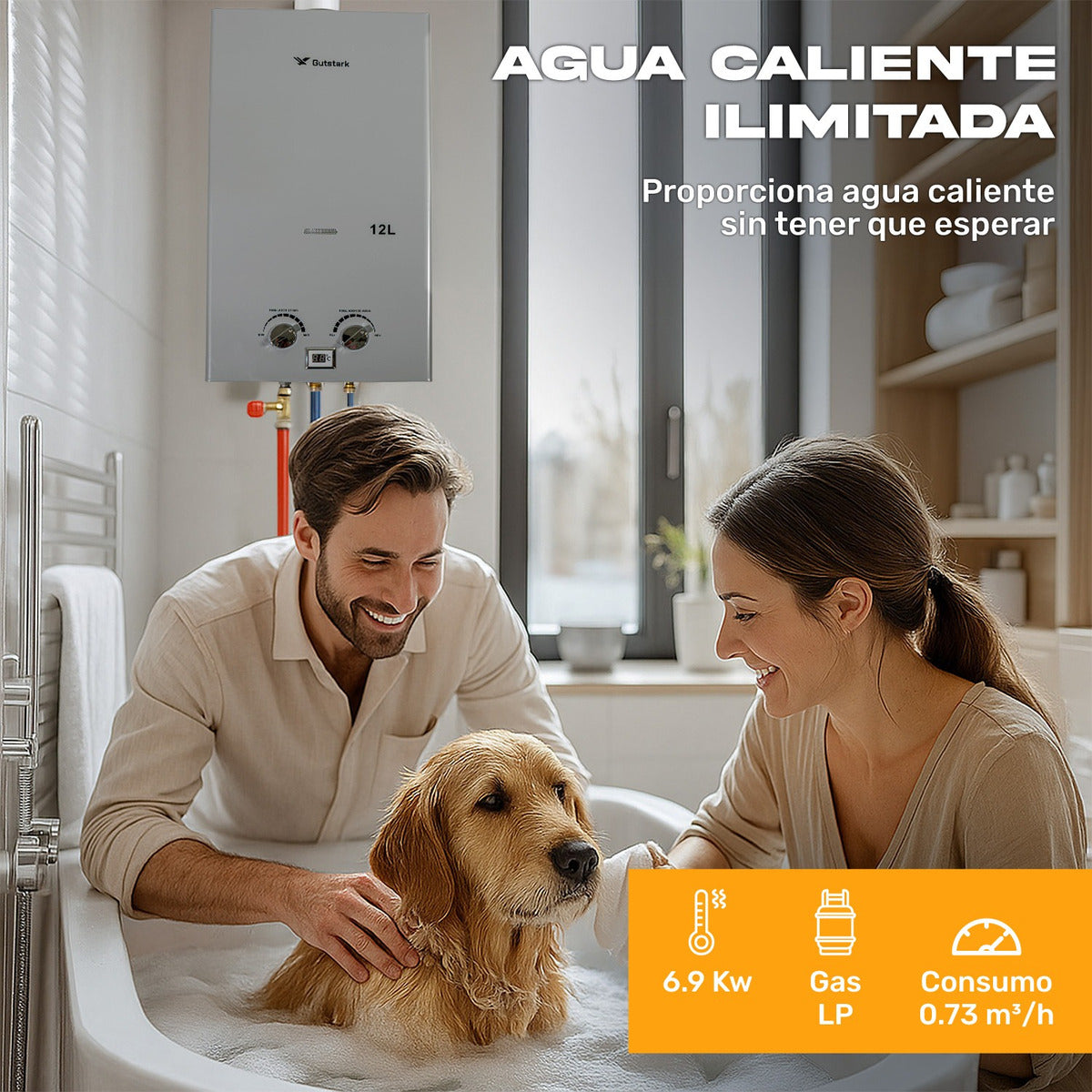 Calentador De Agua Instantaneo De Paso 12 Litros Gas Lp