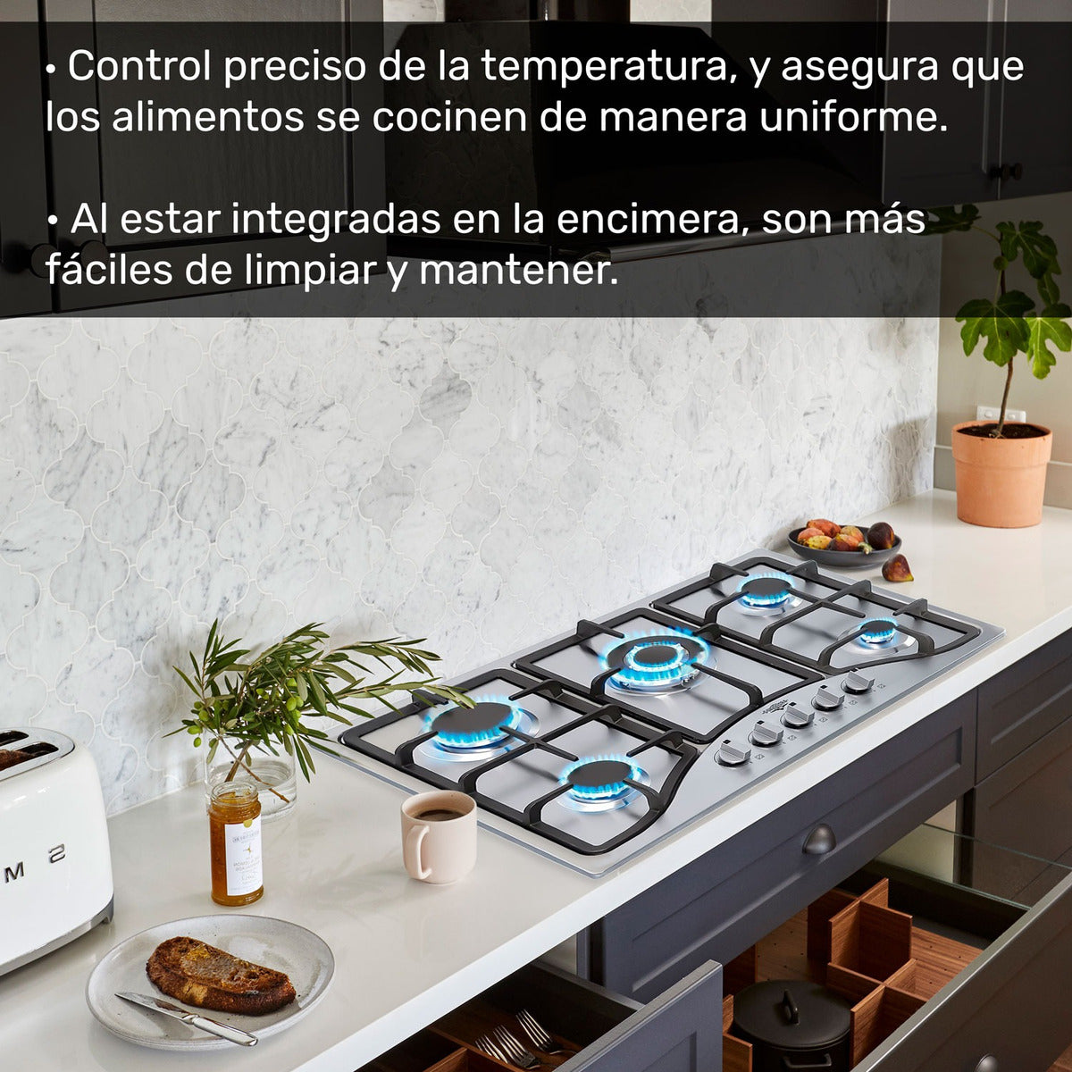 Parrilla Estufa Gas Lp Natural 5 Quemadores 76 cm en Acero Inoxidable y quemador central