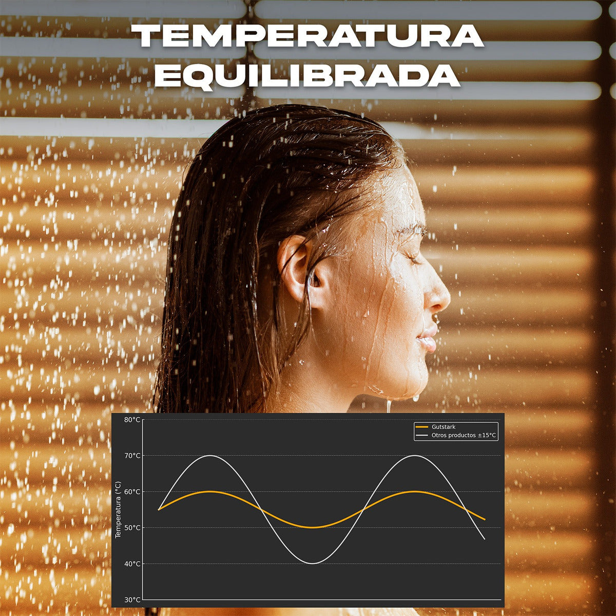 Calentador De Agua Instantaneo De Paso 12 Litros Gas Natural