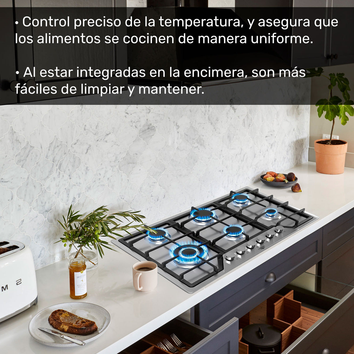 Parrilla de Gas Empotrable 6 Quemadores Acero Inoxidable