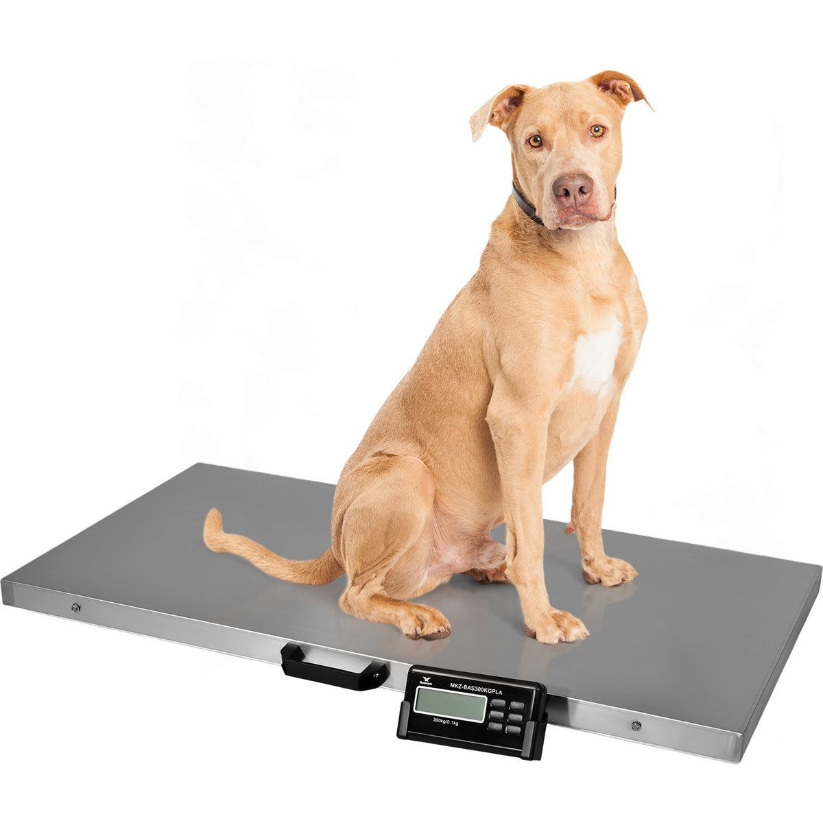 Bascula Veterinaria Gatos Perros Grandes 300kg Acero Inox