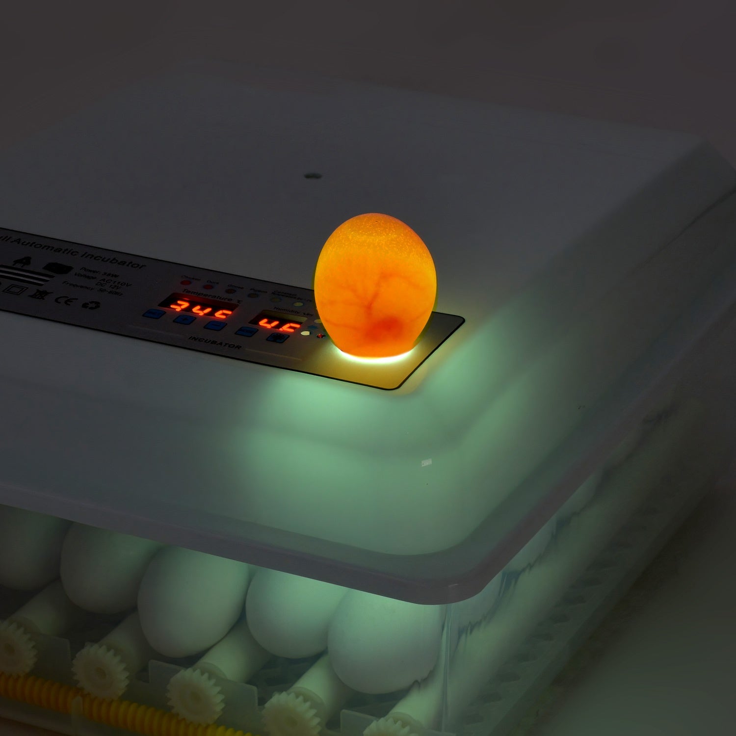 Incubadora Automatica 36 Huevos Aves Pollos + Ovoscopio