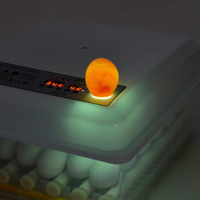 Incubadora Automatica 36 Huevos Aves Pollos + Ovoscopio