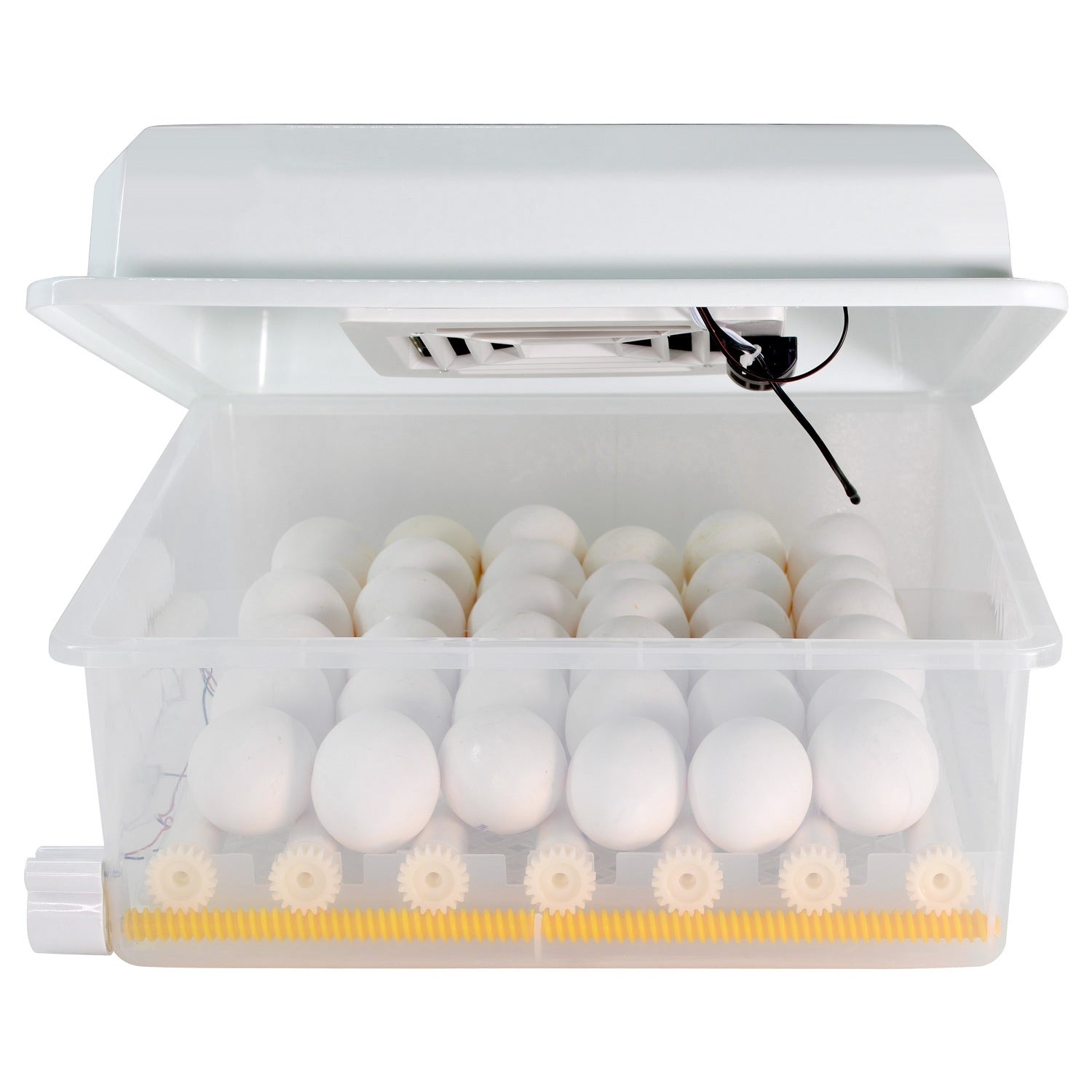 Incubadora Automatica 36 Huevos Aves Pollos + Ovoscopio