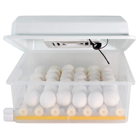 Incubadora Automatica 36 Huevos Aves Pollos + Ovoscopio