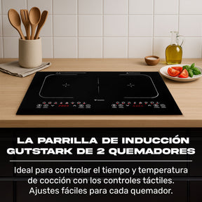 Parrilla Induccion Electrica 2 Zonas 270° 2000w Tactil