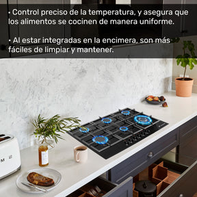Parrilla a Gas 6 Quemadores Cristal Templado Empotrable Acero Inoxidable