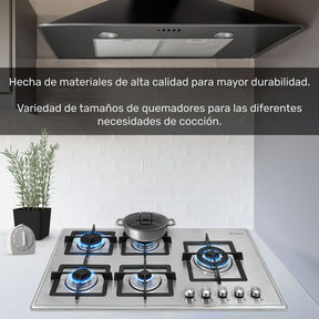 Parrilla A Gas 5 Quemadores Acero Inoxidable Empotrable