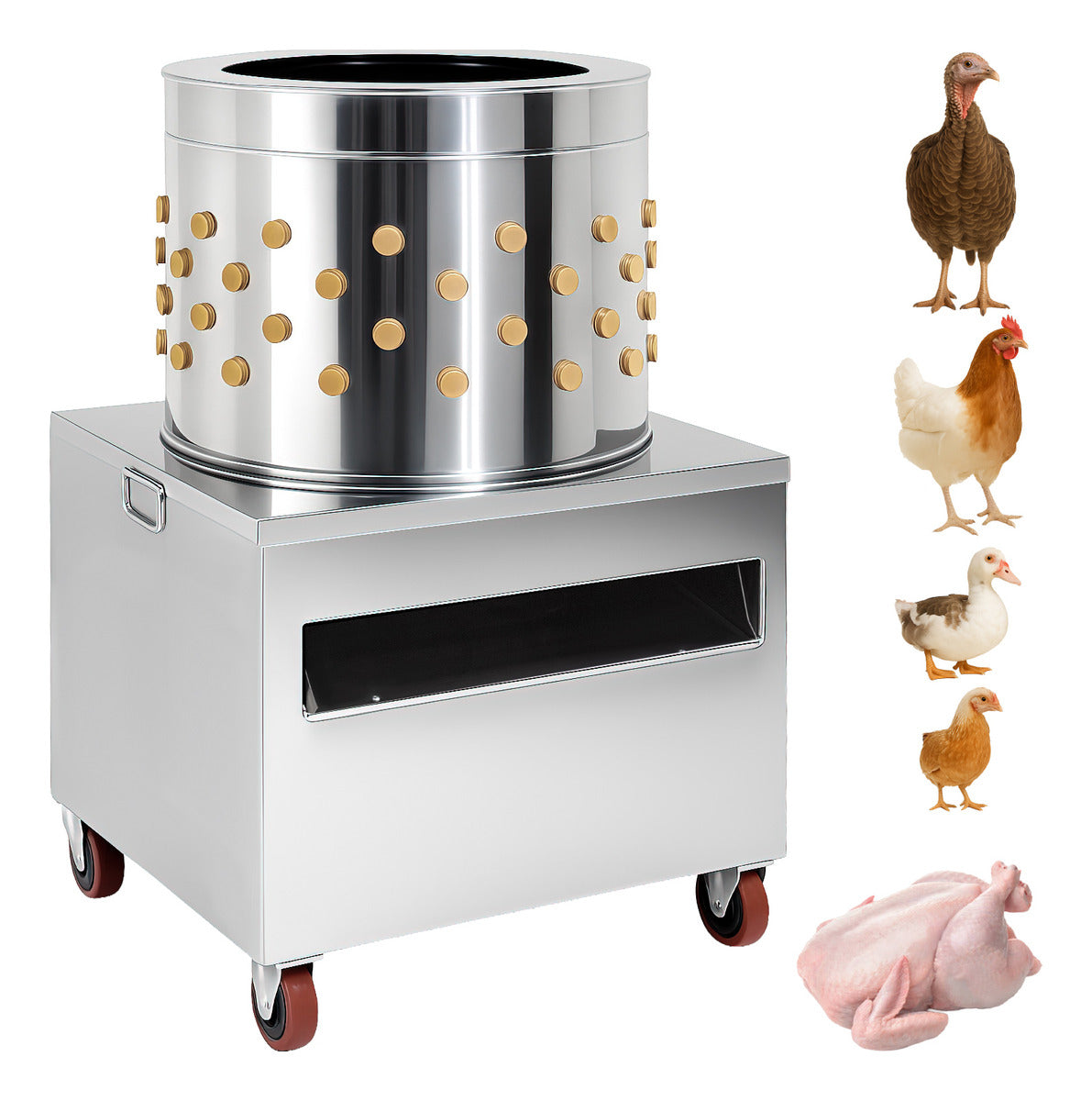 Desplumadora Pollos Pavo Codorniz Removedora Plumas Aves 66