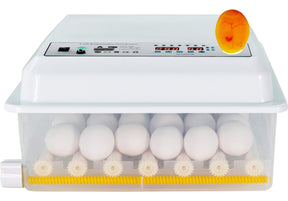 Incubadora Automatica 36 Huevos Aves Pollos + Ovoscopio