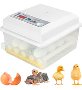 Incubadora Automatica 16 Huevos Aves Pollos + Ovoscopio