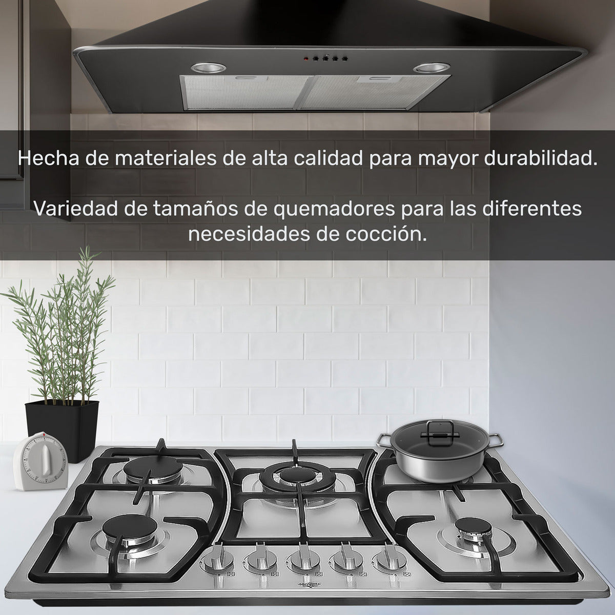 Parrilla de Gas Empotrable 5 Quemadores Acero Inoxidable