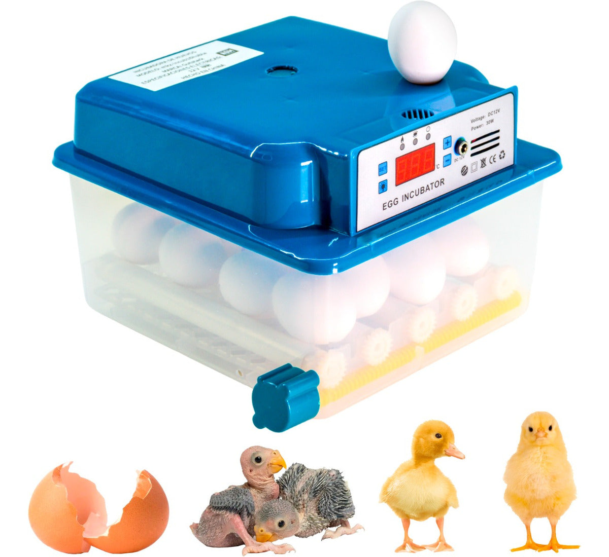 Incubadora Automatica 16 Huevos Pollo Y Aves + Ovoscopio