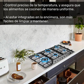 Parrilla de Gas Empotrable 6 Quemadores Acero Inoxidable