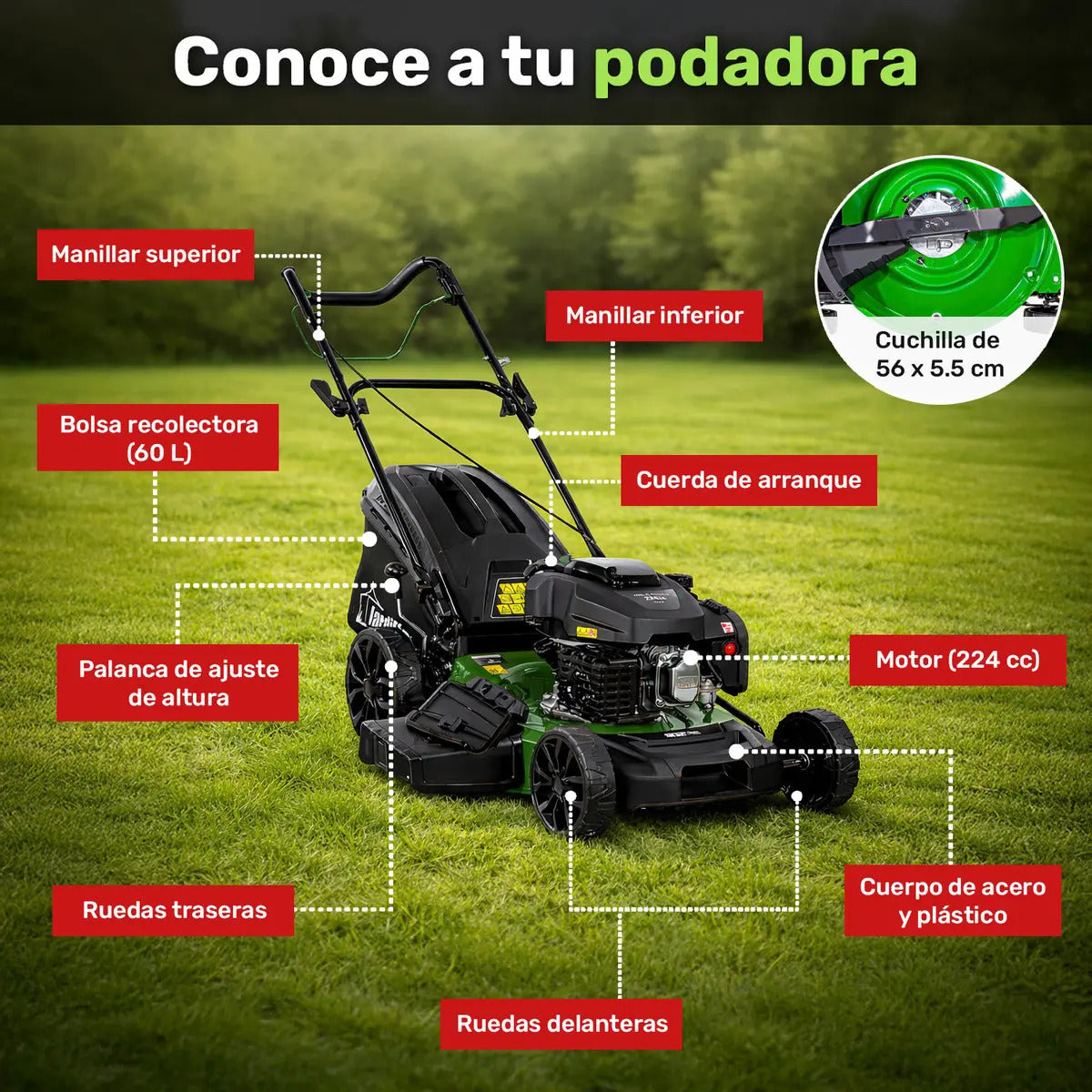 Podadora Gasolina Pasto Jardimex Pro 22pLG 6hp 224cc Bolsa Verde