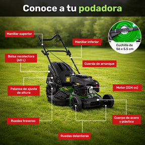 Podadora Gasolina Pasto Jardimex Pro 22pLG 6hp 224cc Bolsa Verde