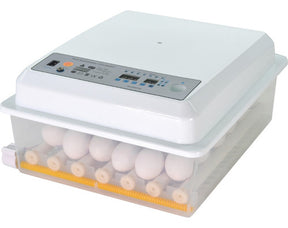 Incubadora Automatica 36 Huevos Aves Pollos + Ovoscopio