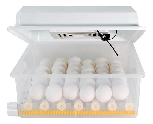 Incubadora Automatica 36 Huevos Aves Pollos + Ovoscopio