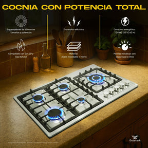 Parrilla de Gas Empotrable Acero Inoxidable 5 Quemadores Premium