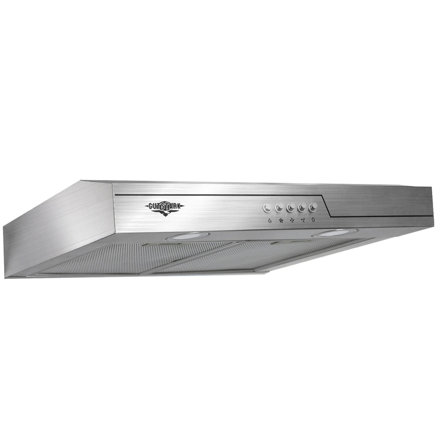 Campana Extractora Purificadora 600mm Acero Inox 300m3/h