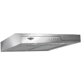 Campana Extractora Purificadora 600mm Acero Inox 300m3/h